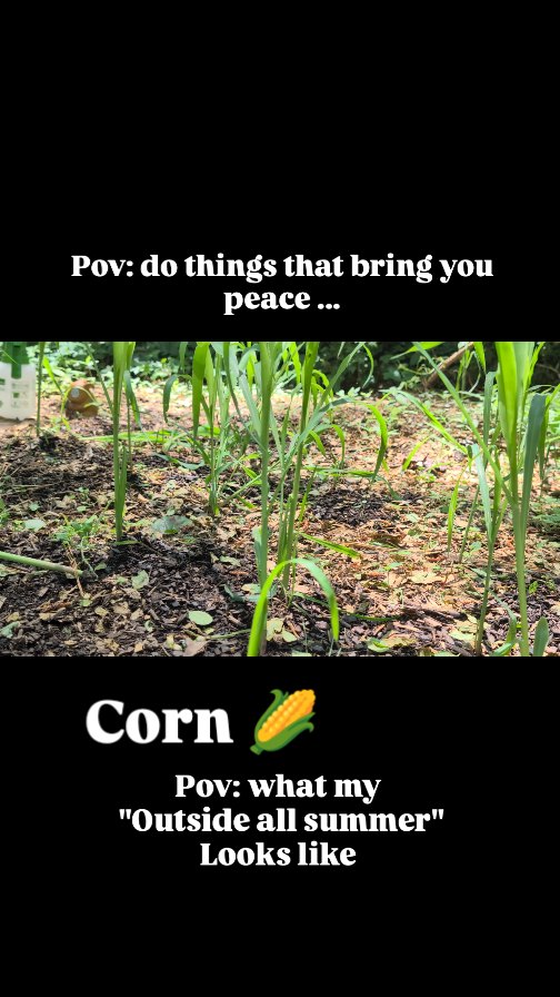 Pov: things that bring me peace and feed me ... I don't get no better # ...