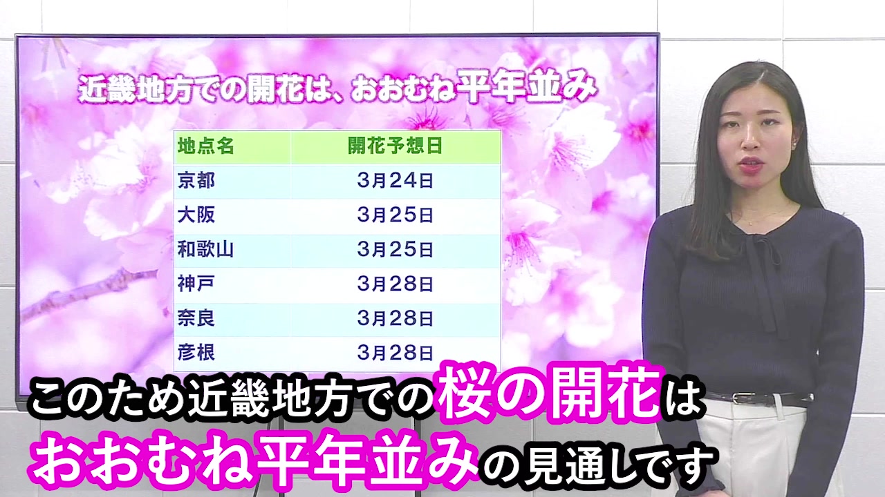 さくら開花の鍵を握るのは寒さ？】 厳しい寒さが続いていますが 