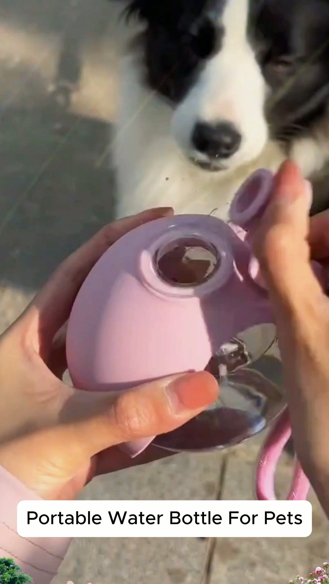 Make every walk and trip easier for your pup 🐾 The Portable Dog