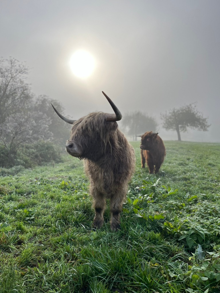 Happy Odenwald Ranch | Brensbach