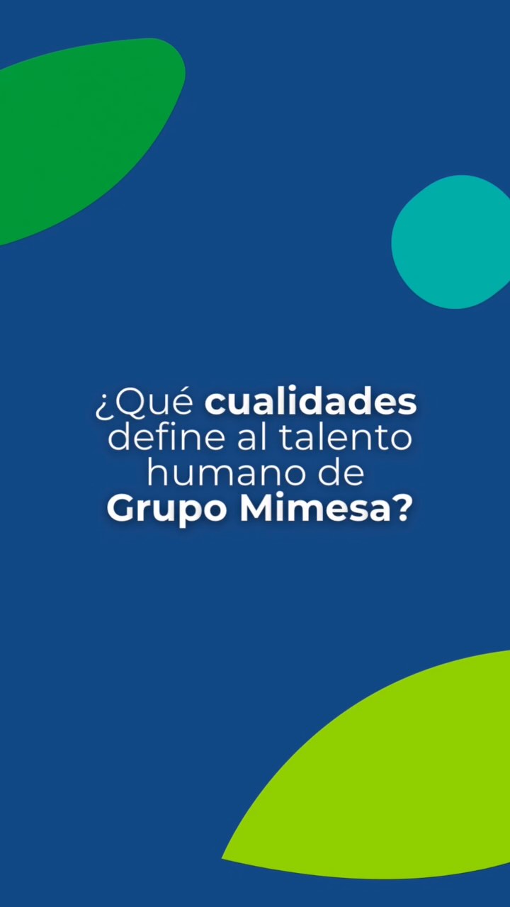 Grupo Mimesa