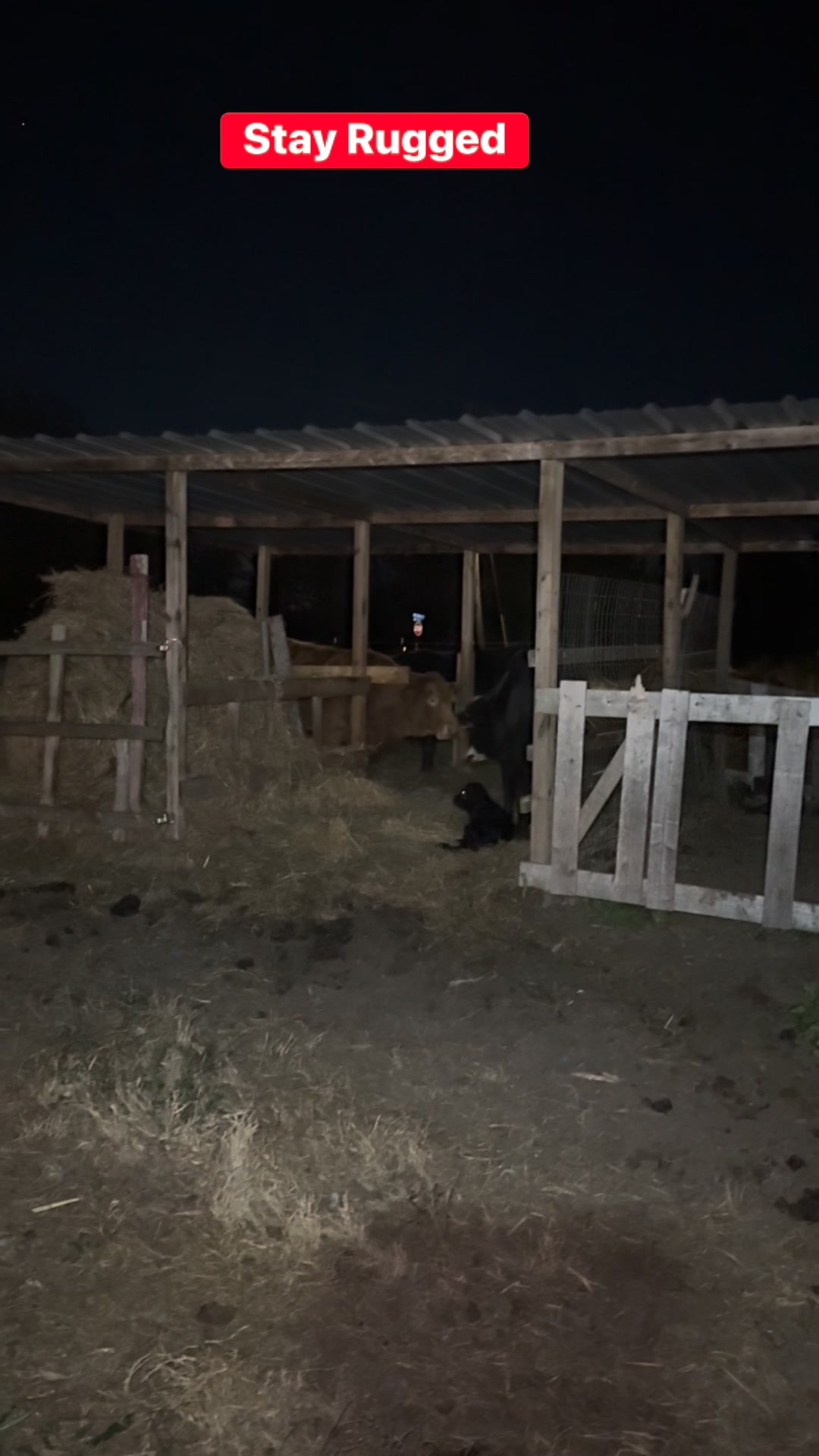 #stayrugged#ruggedoranch | Rugged O Ranch