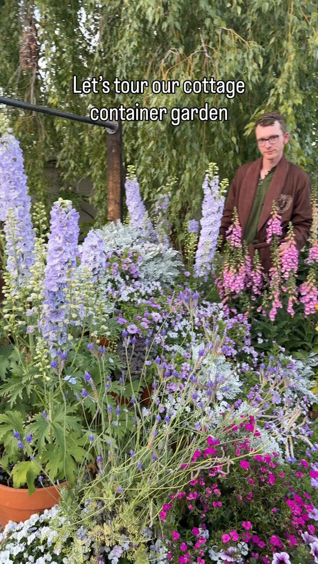 Pink and purple cottage garden ideas for zone 9b-10