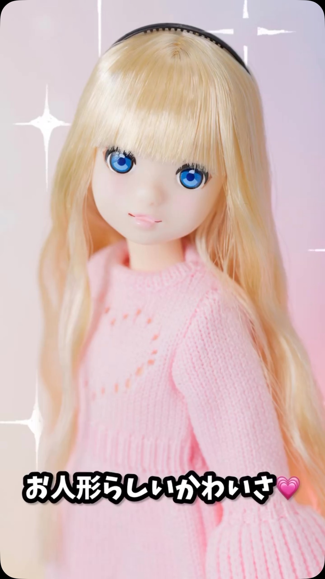 2026年3月以降入庫予定「Fresh ruruko 2603」 以下新商品のペット
