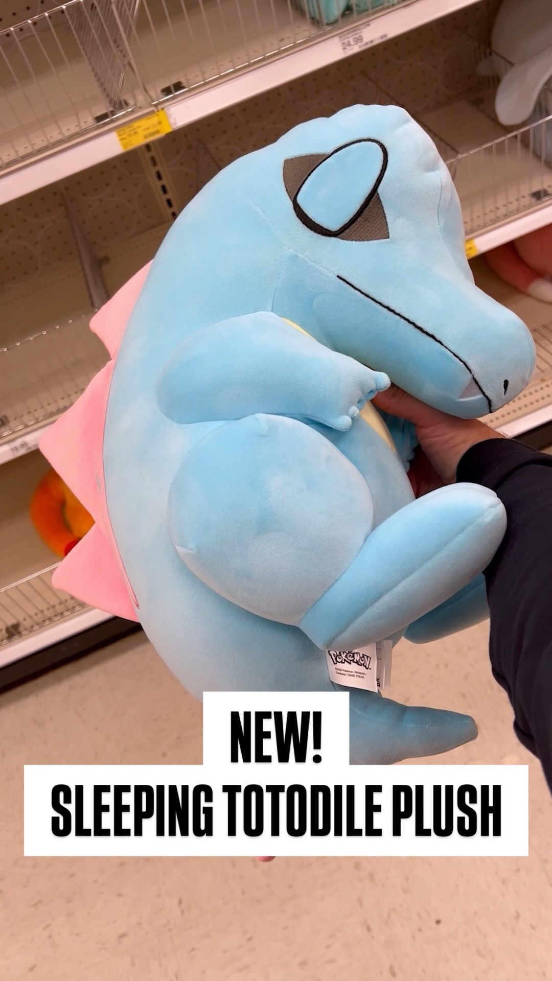 ポケモン スリープ ワニノコ Totodile ぬいぐるみ Jazwares ポケモン