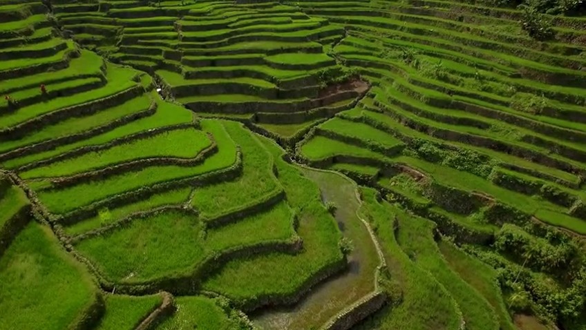 The hillsides of Ifugao were carved by hand about 2,000 years ago and ...