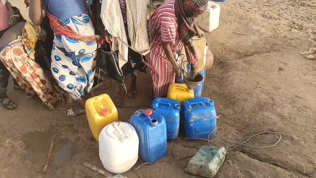 Organisation Humanitaire pour le Développement Social et Sanitaire OHDSS