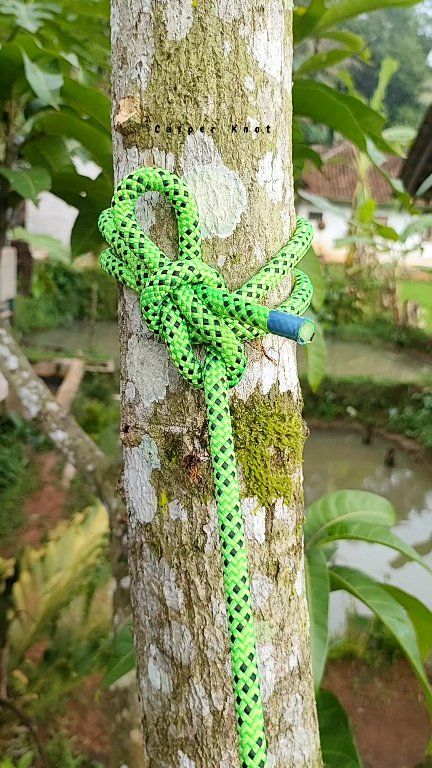 Tips & trick #knot #rope #a #diy #handmade #outdoor #viral | Casper ...