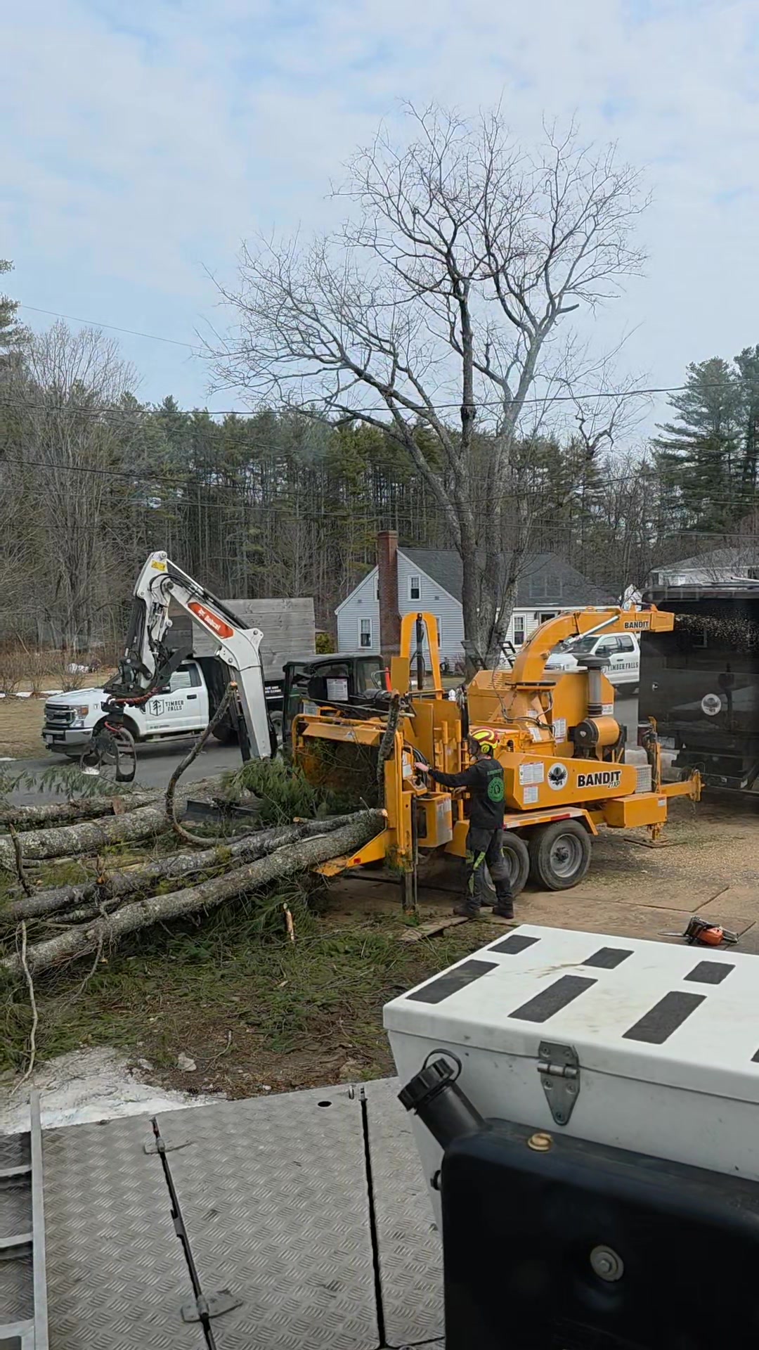 Timber Falls Tree Care | Dover NH