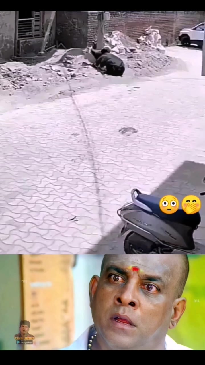 WTF😳😳 #tamilreels #memes #fb #foryouシ # #follower | Rafeek Mohd | Facebook