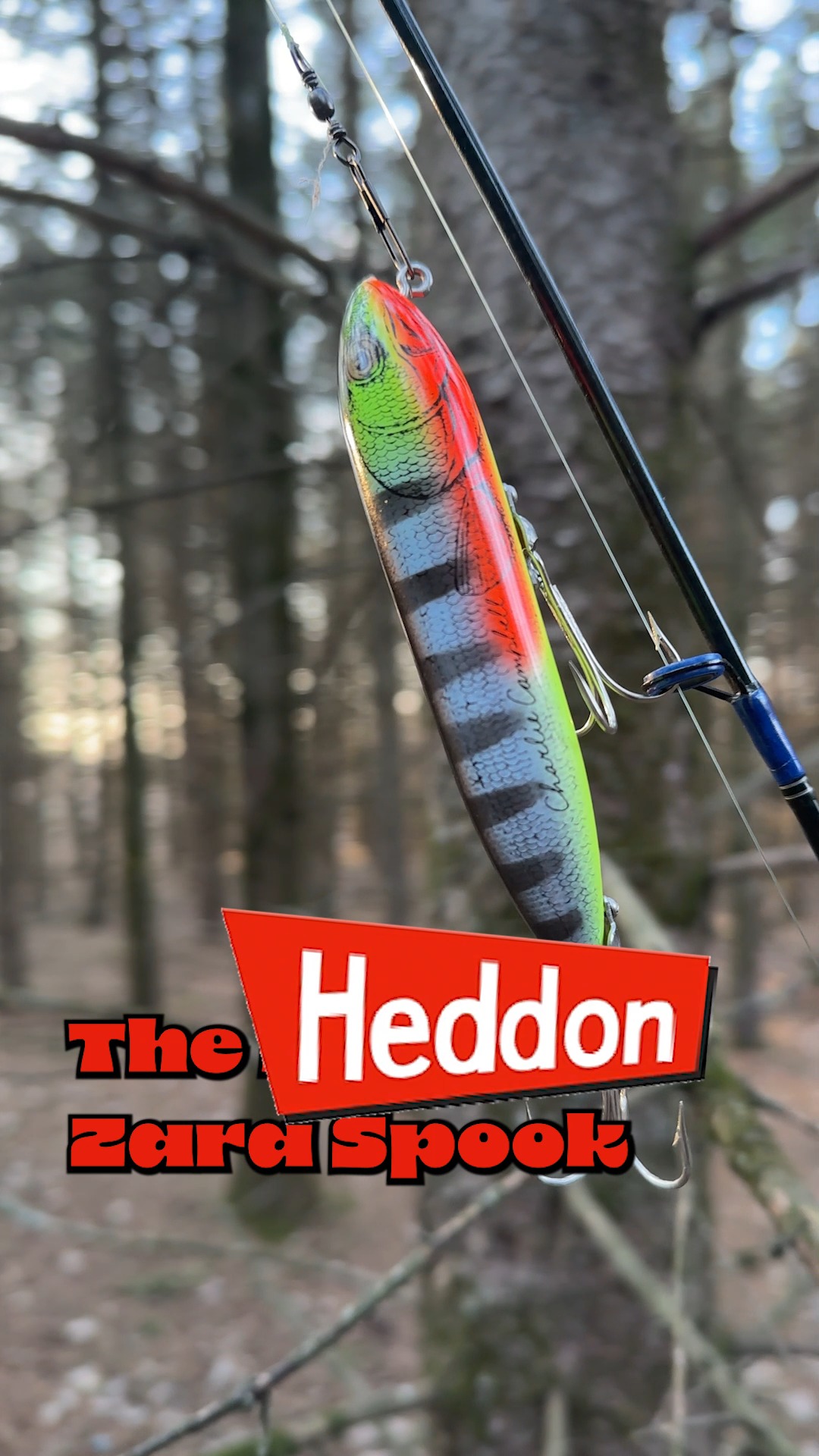 Heddon Super Zara Spook for clear water fishing
