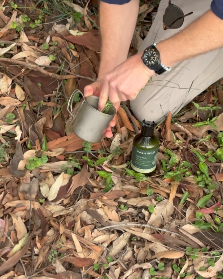 WASH WILD | Paddington NSW
