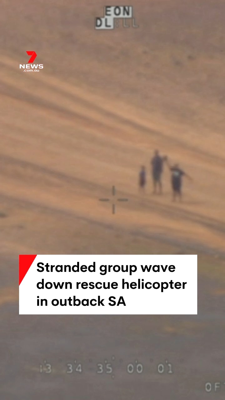 A group of four travellers, including a six-year-old boy, have waved ...
