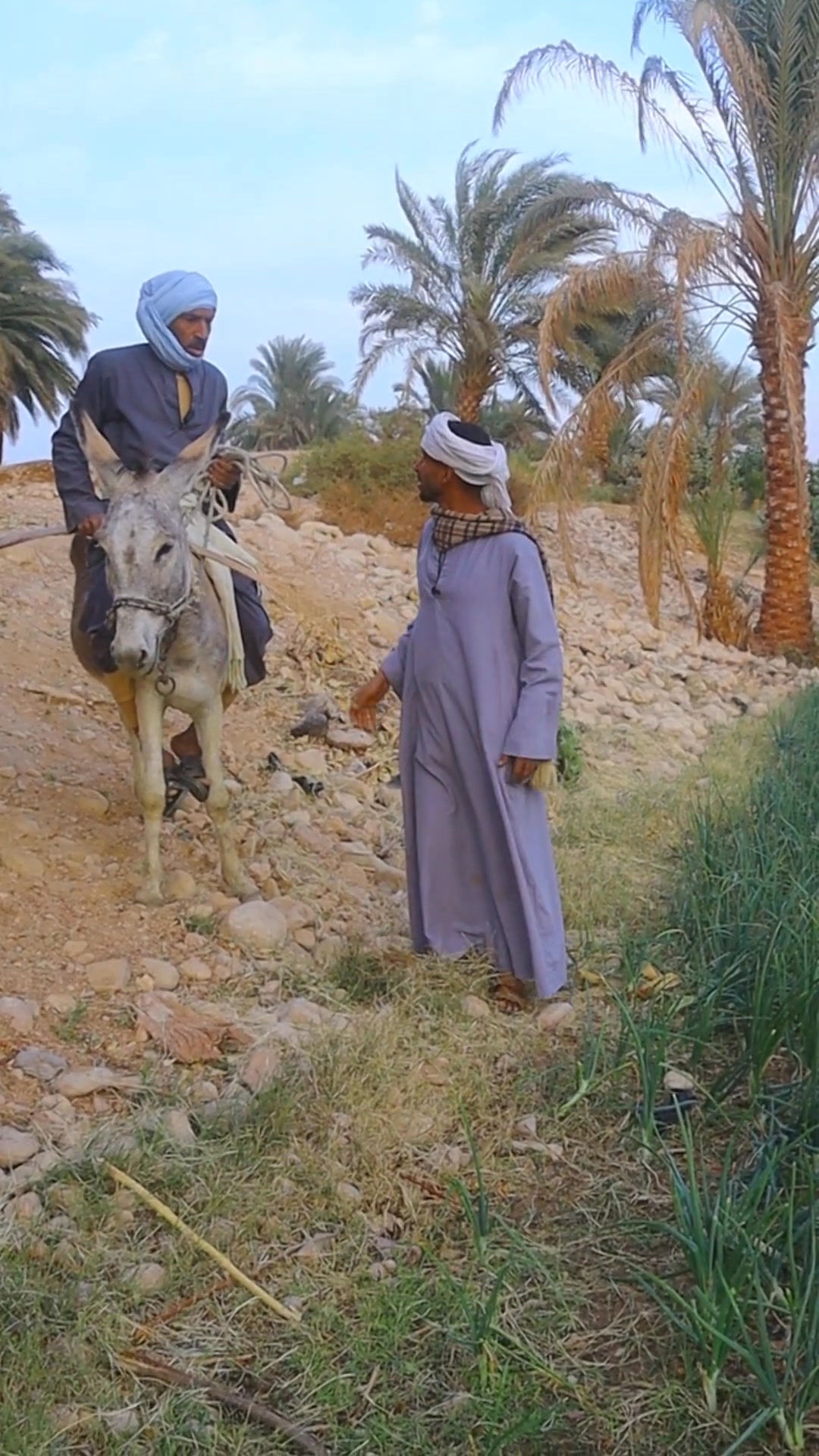أحمد عبد الحميد -اخمد ابو اسلام