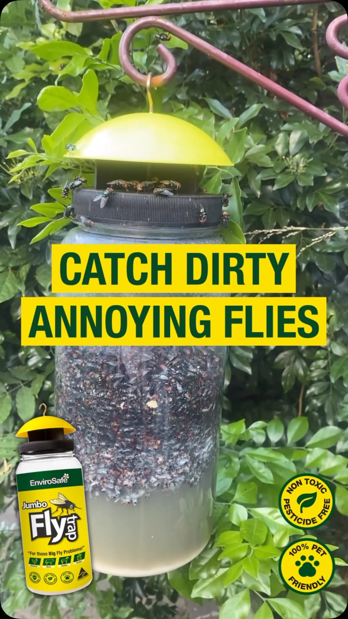 Catch those dirty flies before they bring the dirt and germs to you! # ...