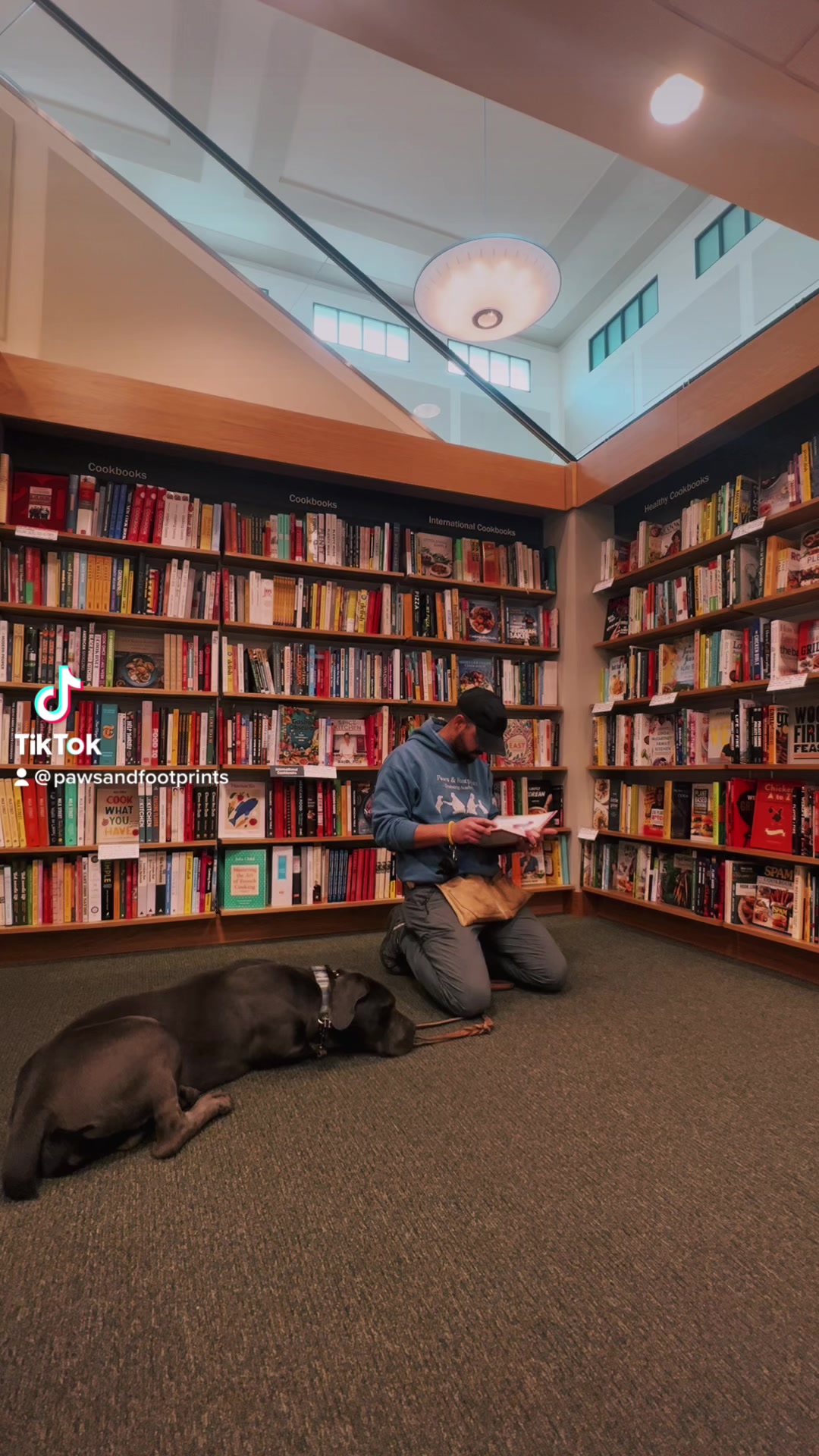 Tô get to a point where you can take your canine anywhere takes time ...