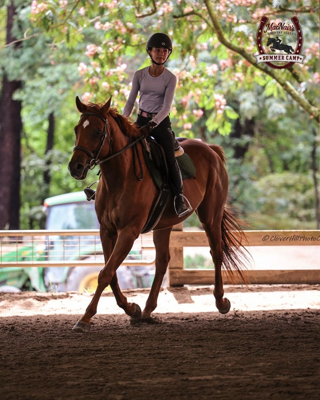 MacNair's Country Acres | Raleigh NC
