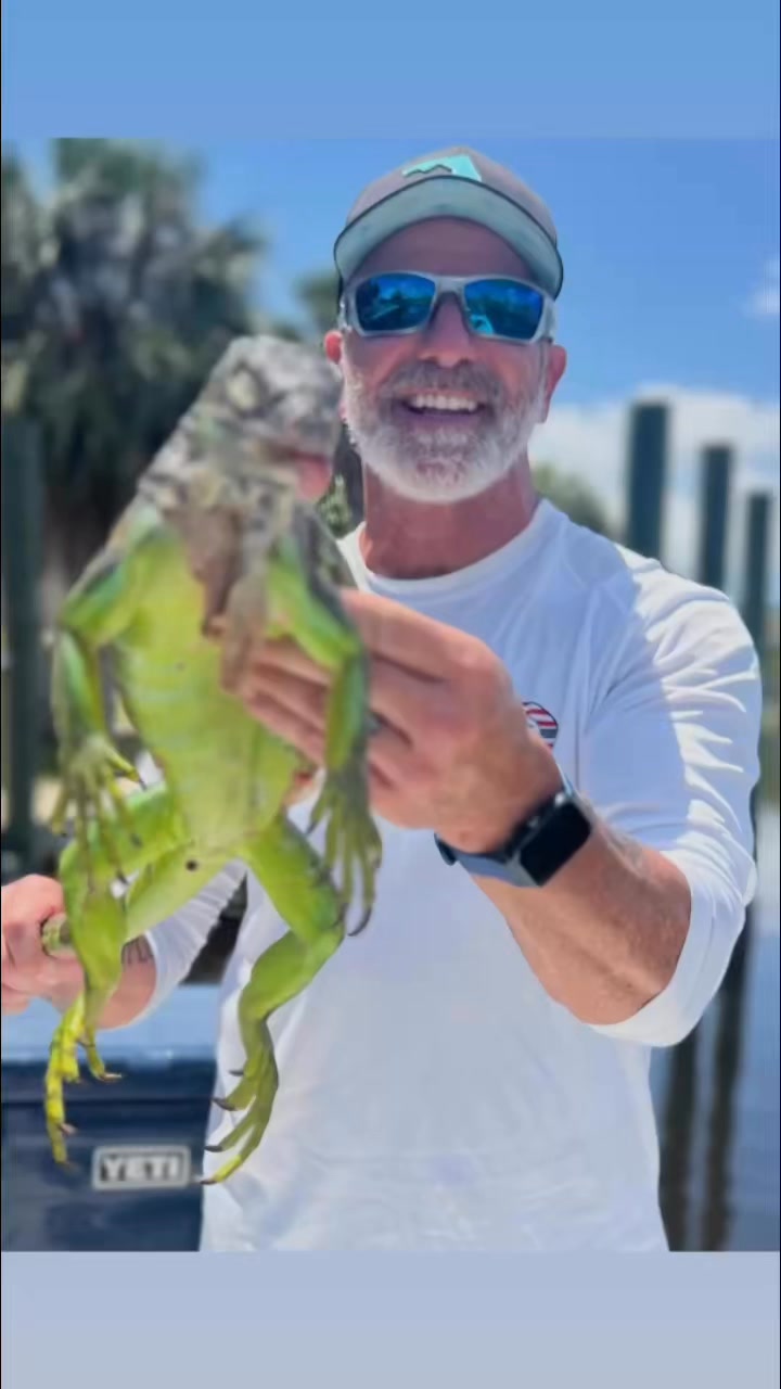 Iguana Adventures Of SWFL