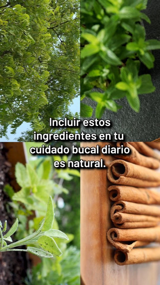 Explora el cuidado natural para unos dientes saludables🍃 Nuestra ...