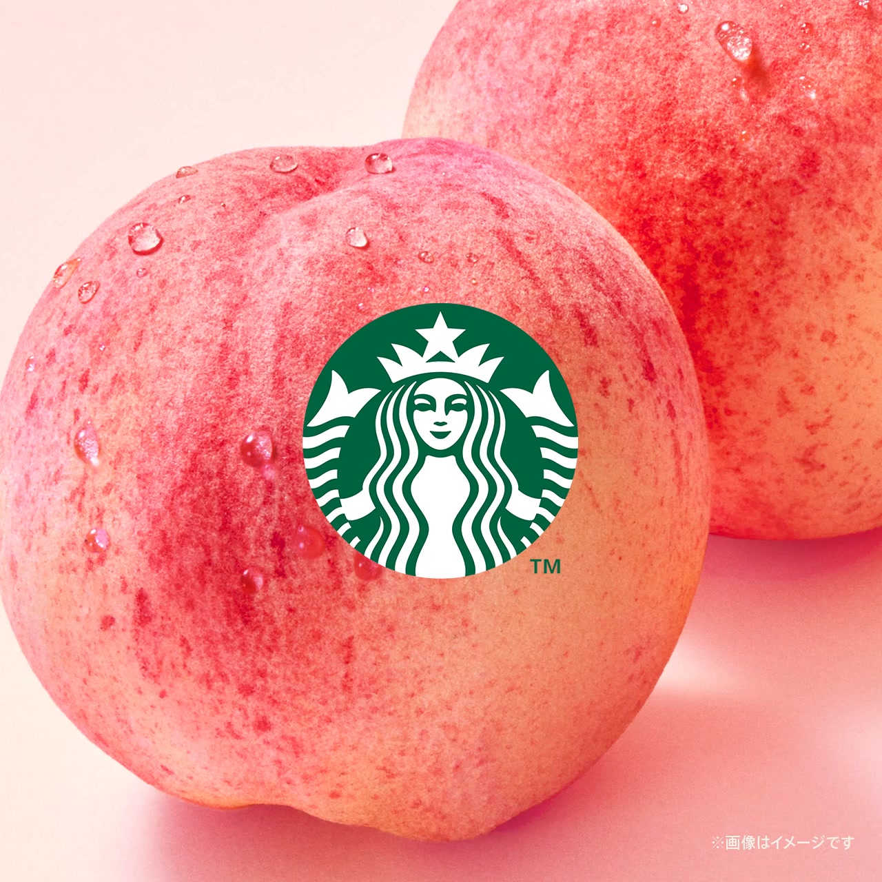 🍑桃 好きのみなさまに贈る🍑 〜とろける幸せ〜 🥛とろっととろける