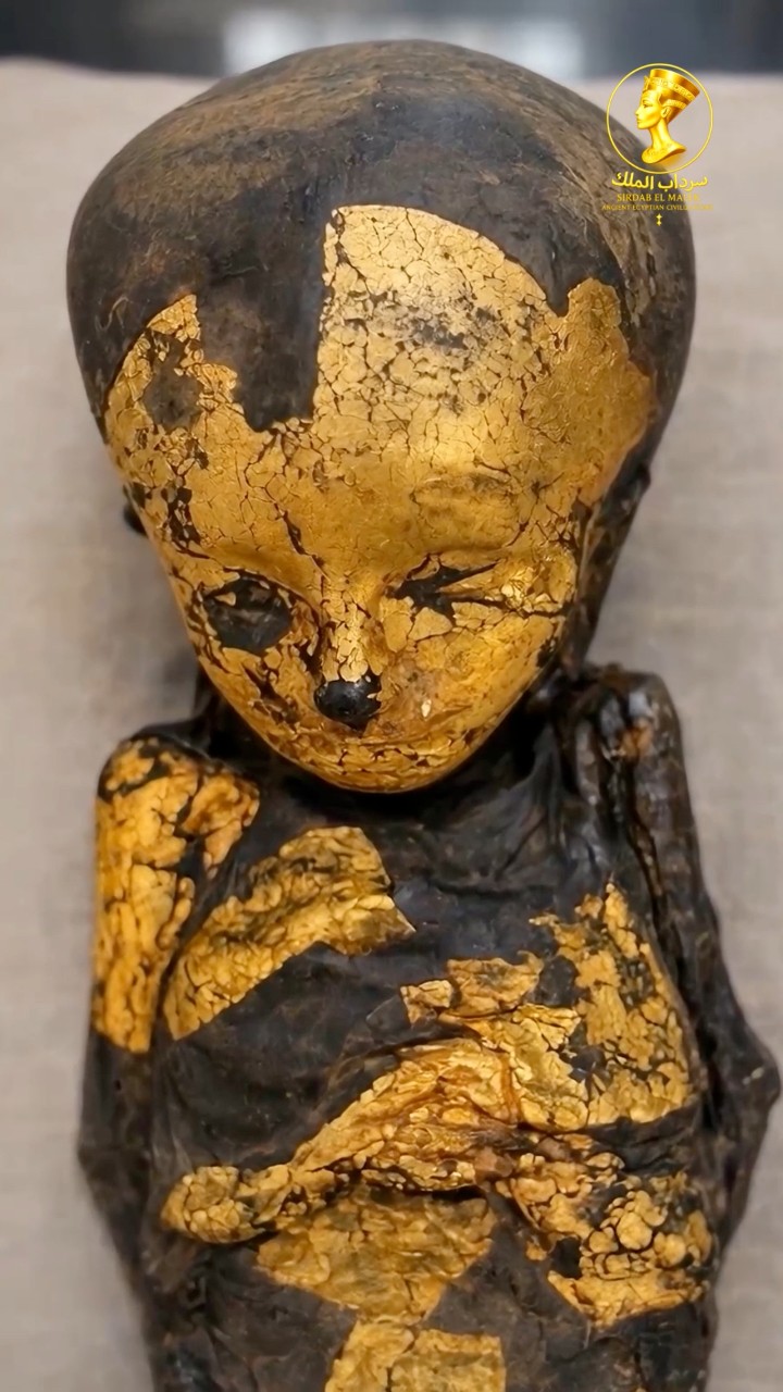 The Golden Child Mummy That Still Shocks the World Few ancient