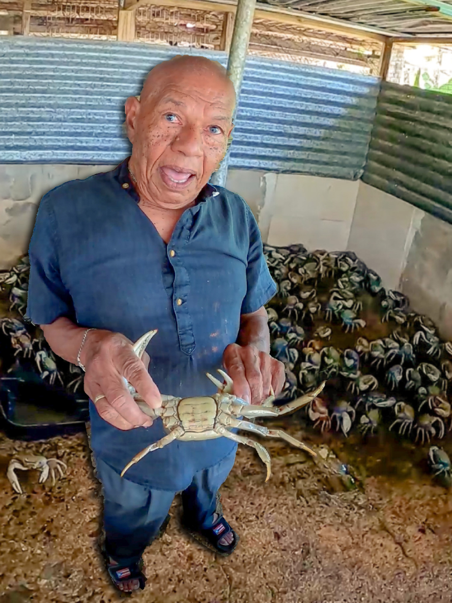 Don Ruby 🙏🇵🇷 72 Años Limpiando Jueyes 🦀 con Maiz y Frutas ️ Orgulloso ...