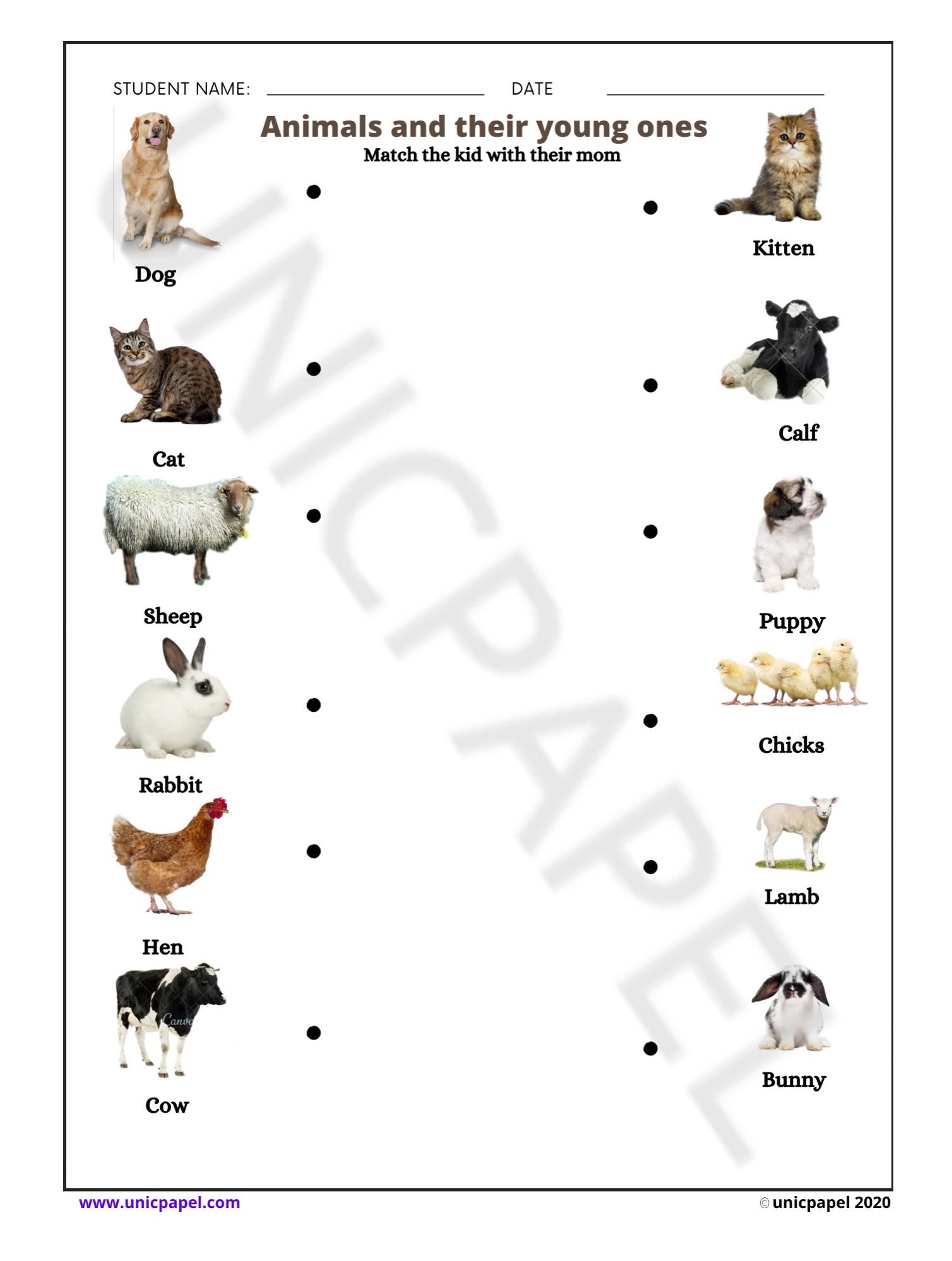 Unicpapel kids learning worksheets | Animals and their Young ones ...