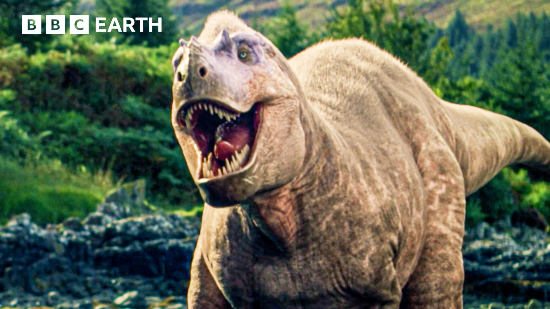Most Dramatic Moments From The Animal Kingdom | From crocodile-infested ...