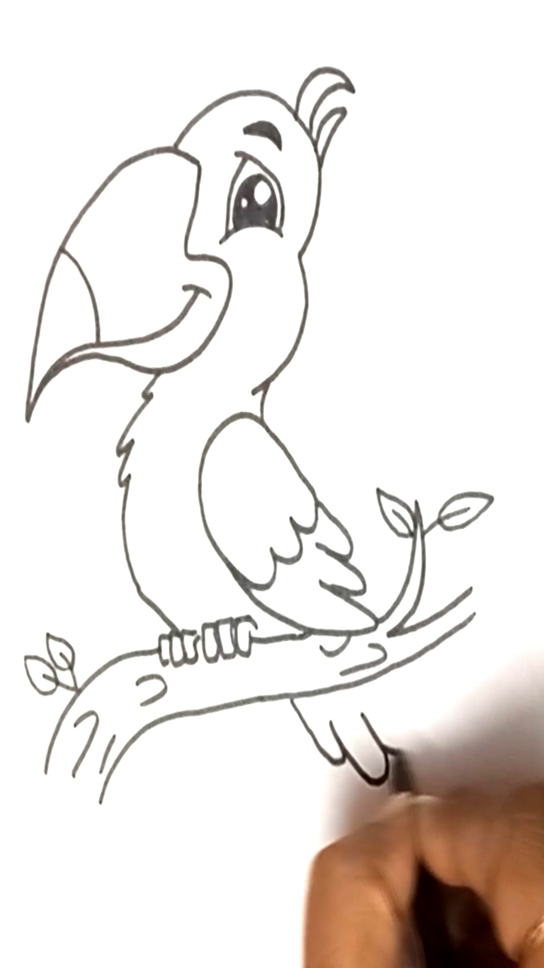 Easy Art by Pg - How to Draw a Toucan Step-by-Step | Easy... | Facebook