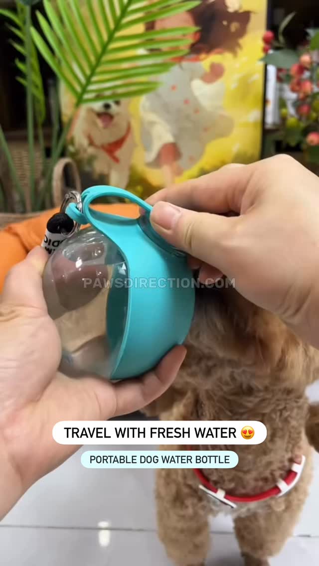 Make every walk and trip easier for your pup 🐾 The Portable Dog