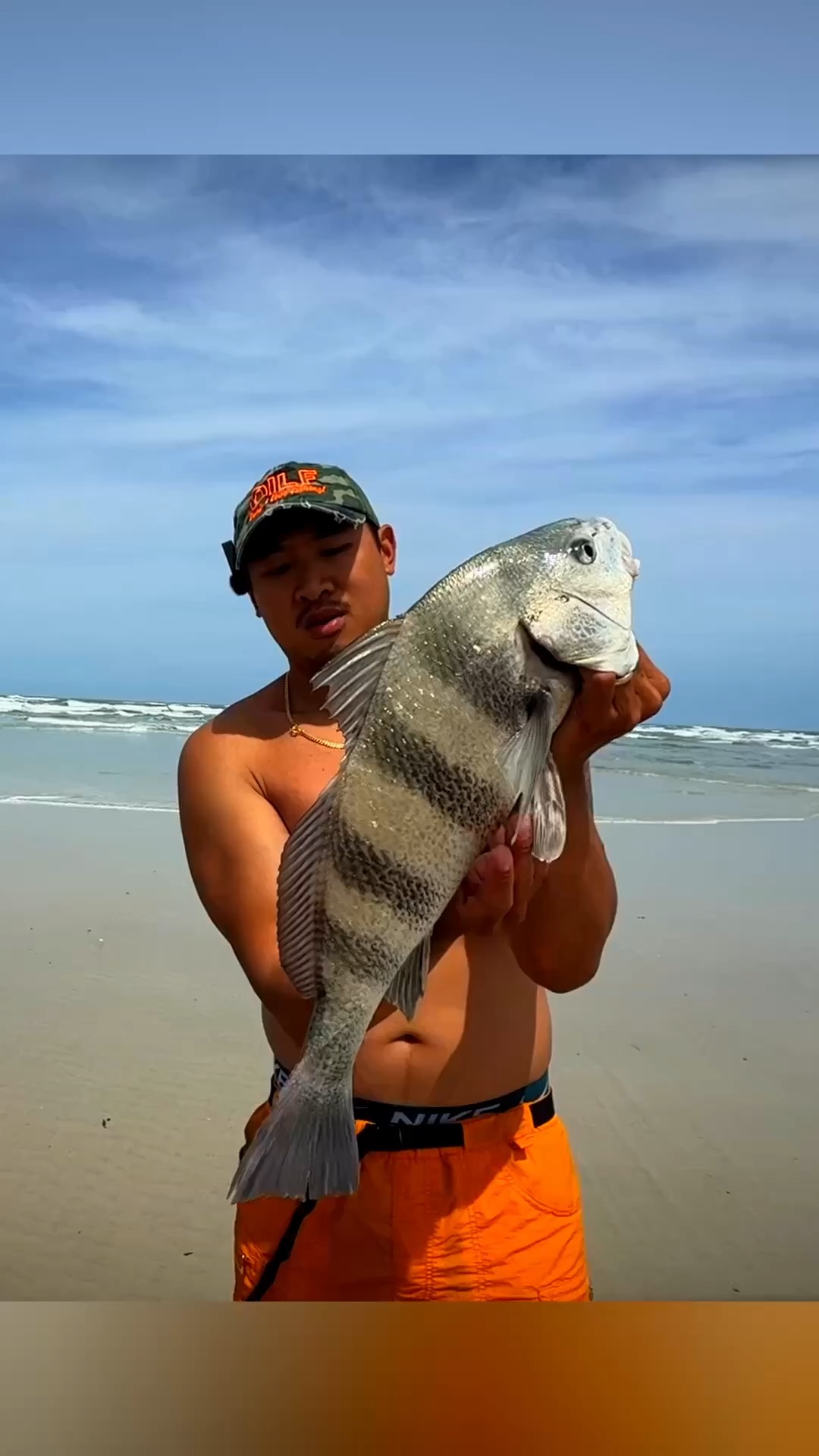 ditch fishing lures price guide Rebel Wee Crawfish Crankbaits – Tackle World Type_Tackle Box Available in a variety Baitcasting Reels Model:150 - 7.2:1 Surf Casting Combo NZ