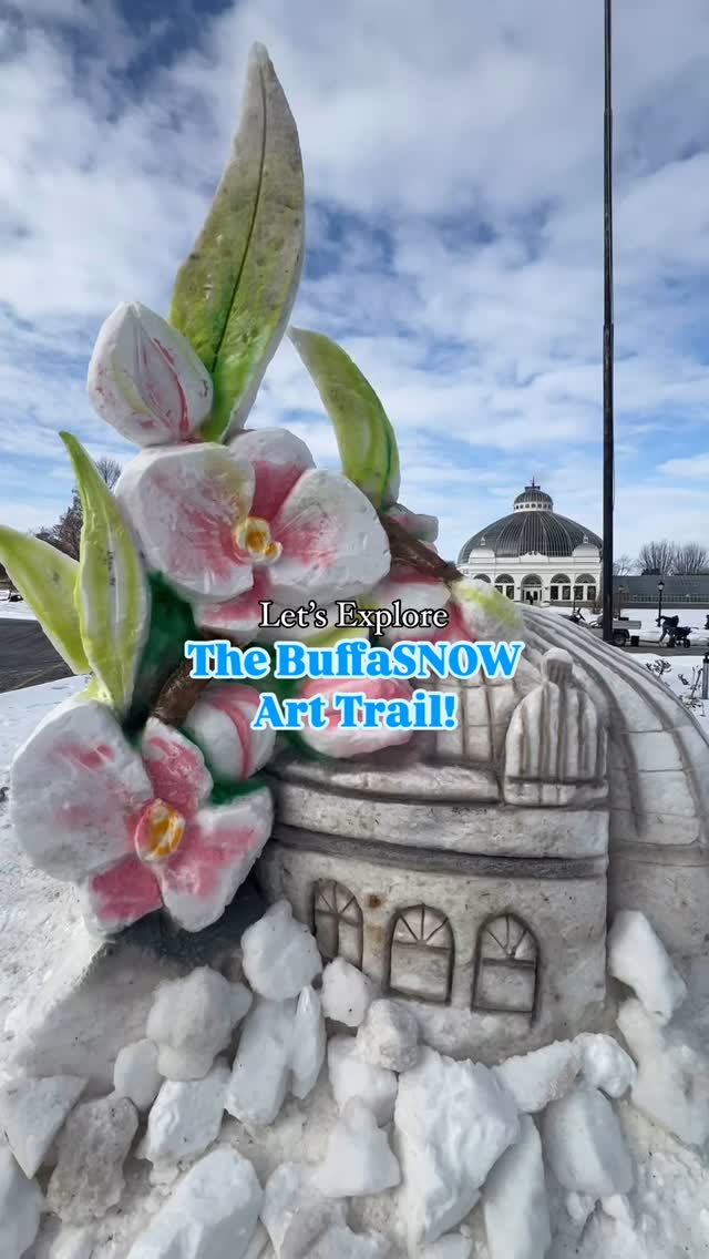 Flurry up and check out the BuffaSNOW Art Trail! 🦬 ️ Location ...