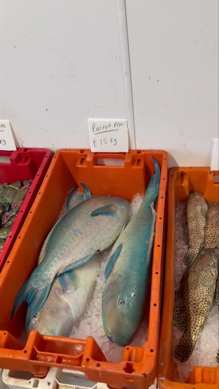 The Bournemouth & poole wholesale fresh fish market opens this