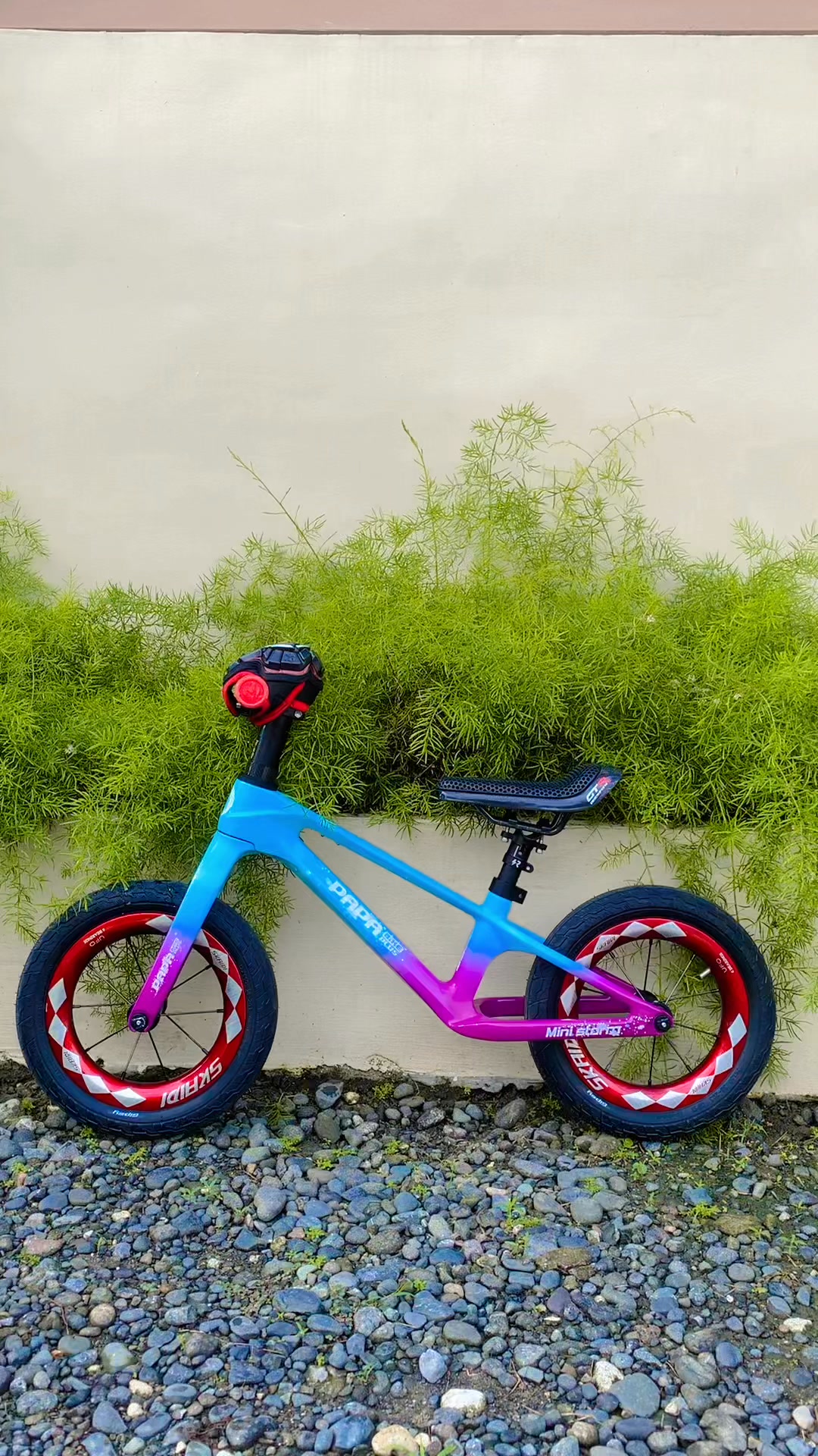 PAPA BIKE Philippines Mini Storm Special edition## Skaidi