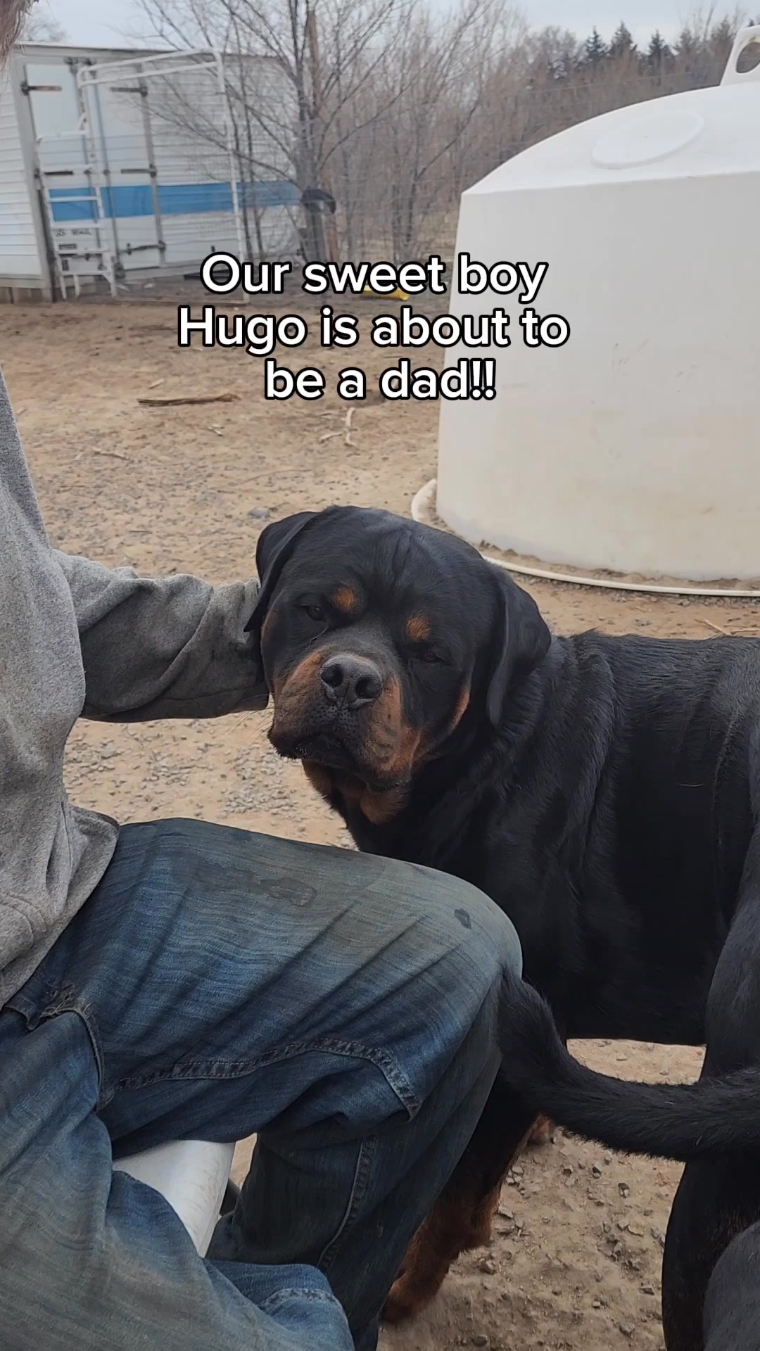 The way he lays his head down is just too cute! We love Hugo and can’t ...