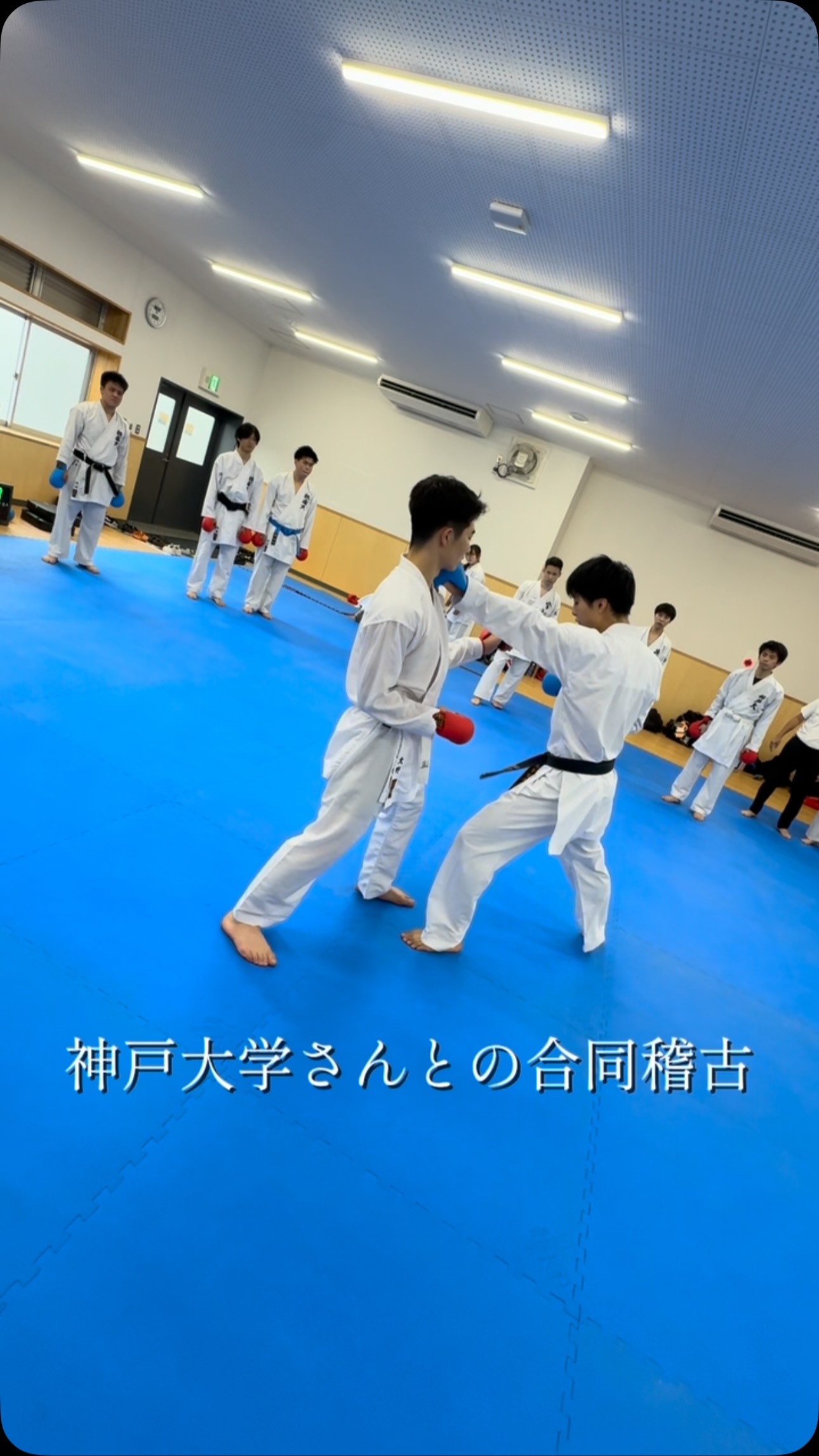 創部100年以上の歴史を持つ慶應義塾體育會空手部の普段の練習に潜入