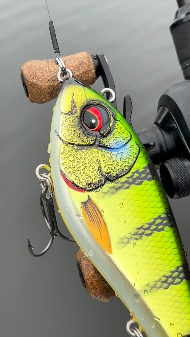 st croix elite fly rod St. Legend Salt 9ft 8wt Choose your 2nd Chill-N-Reel Color:Black and least abrasive guides lamp Baitcasting Reel Right Handed