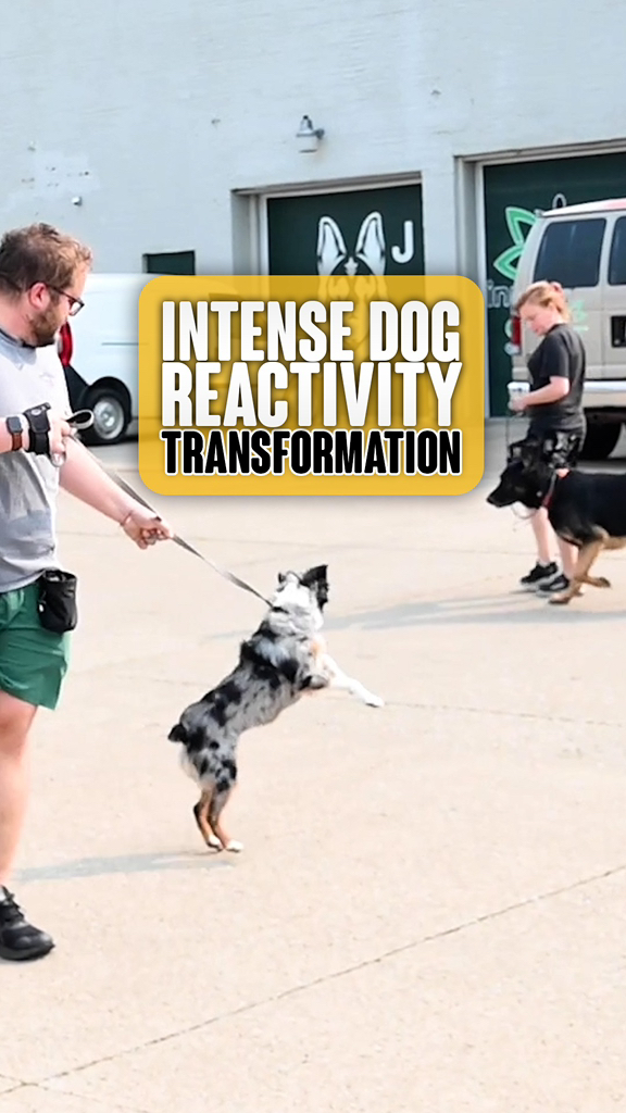 It’s Transformation Tuesday so we want to share another past training ...