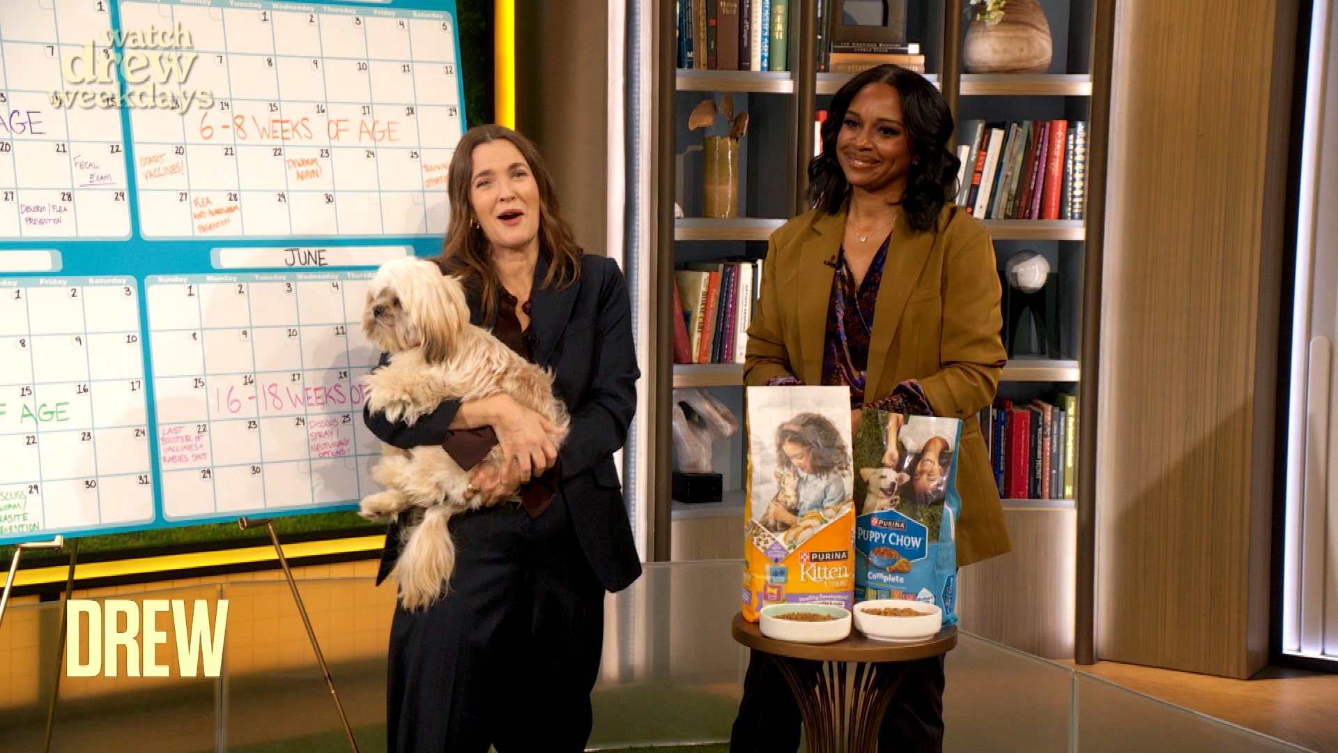 SPONSORED BY PURINA PUPPY AND KITTEN CHOW. Drew Barrymore joins Purina ...
