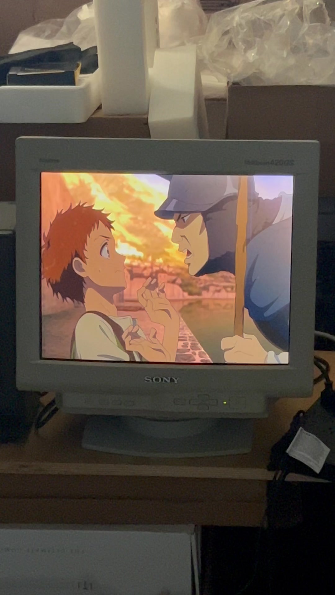 What can you tell me about the Sony Trinitron CPD-G420 model?