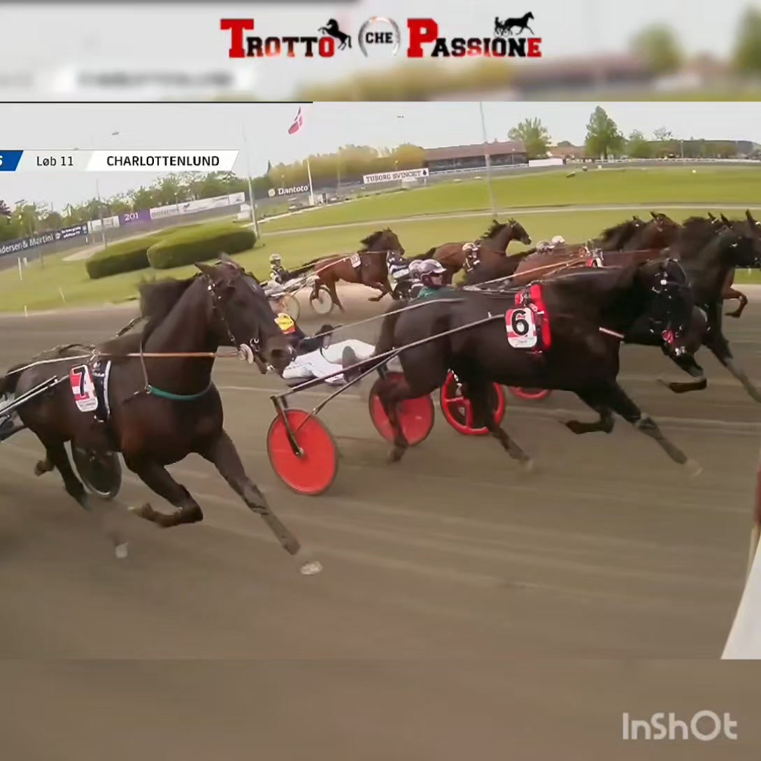 Copenaghen Cup 🇩🇰 #Gruppo1 2011m. IL TRIONFO DI DIVA EK 🇮🇹 IN DANIMARCA ...