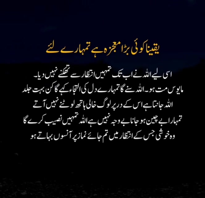 Absolutely 💯 ️ | Precious Qadriya | Facebook