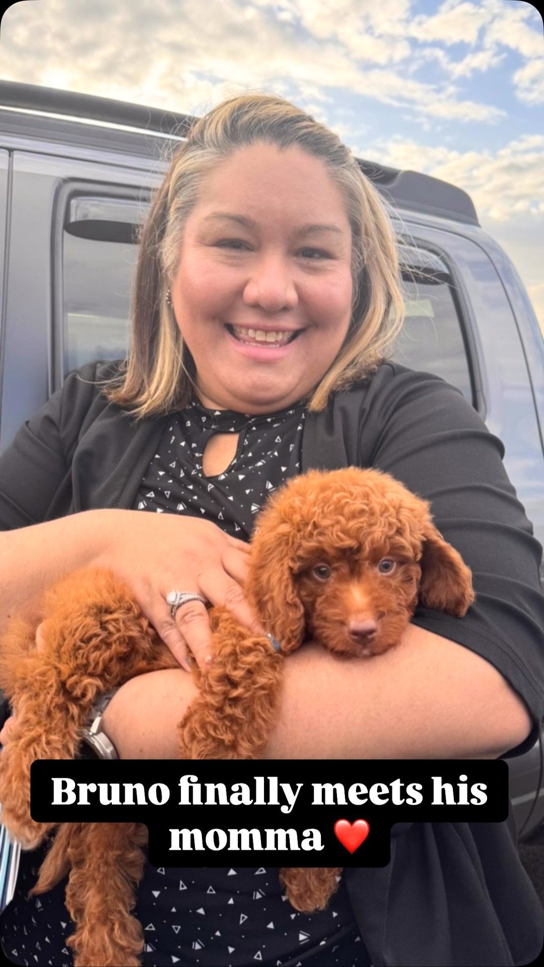 Goldendoodle poppy ranch | Kissimmee FL