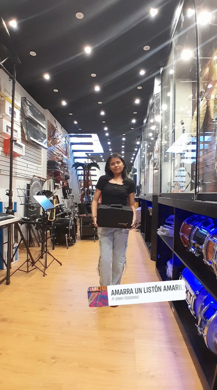 Orion Instrumentos musicales y amplificación | Piura