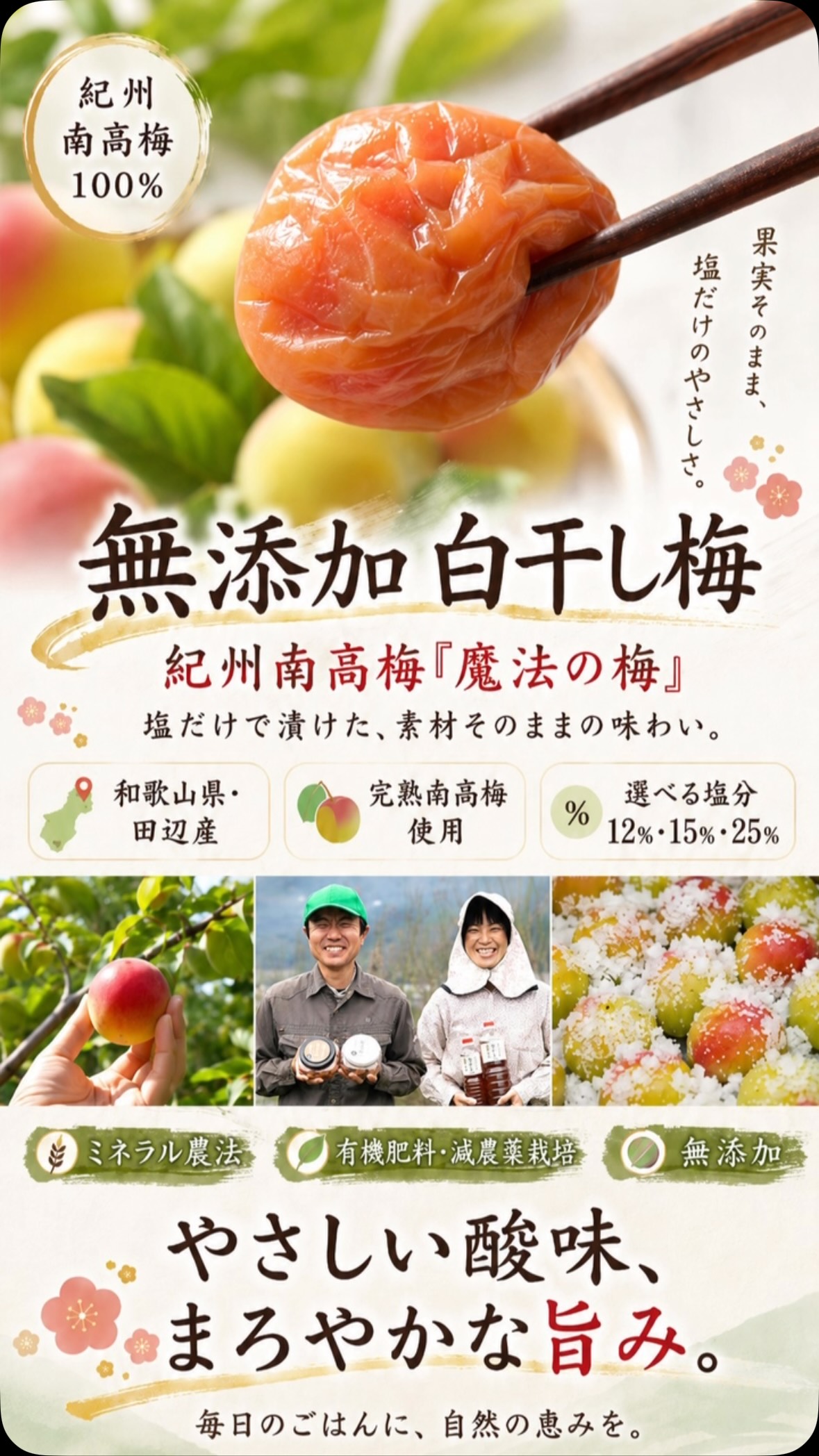 食品 そろそろ最終発送ミネラル南高梅(落ち梅)注文はコメントへ