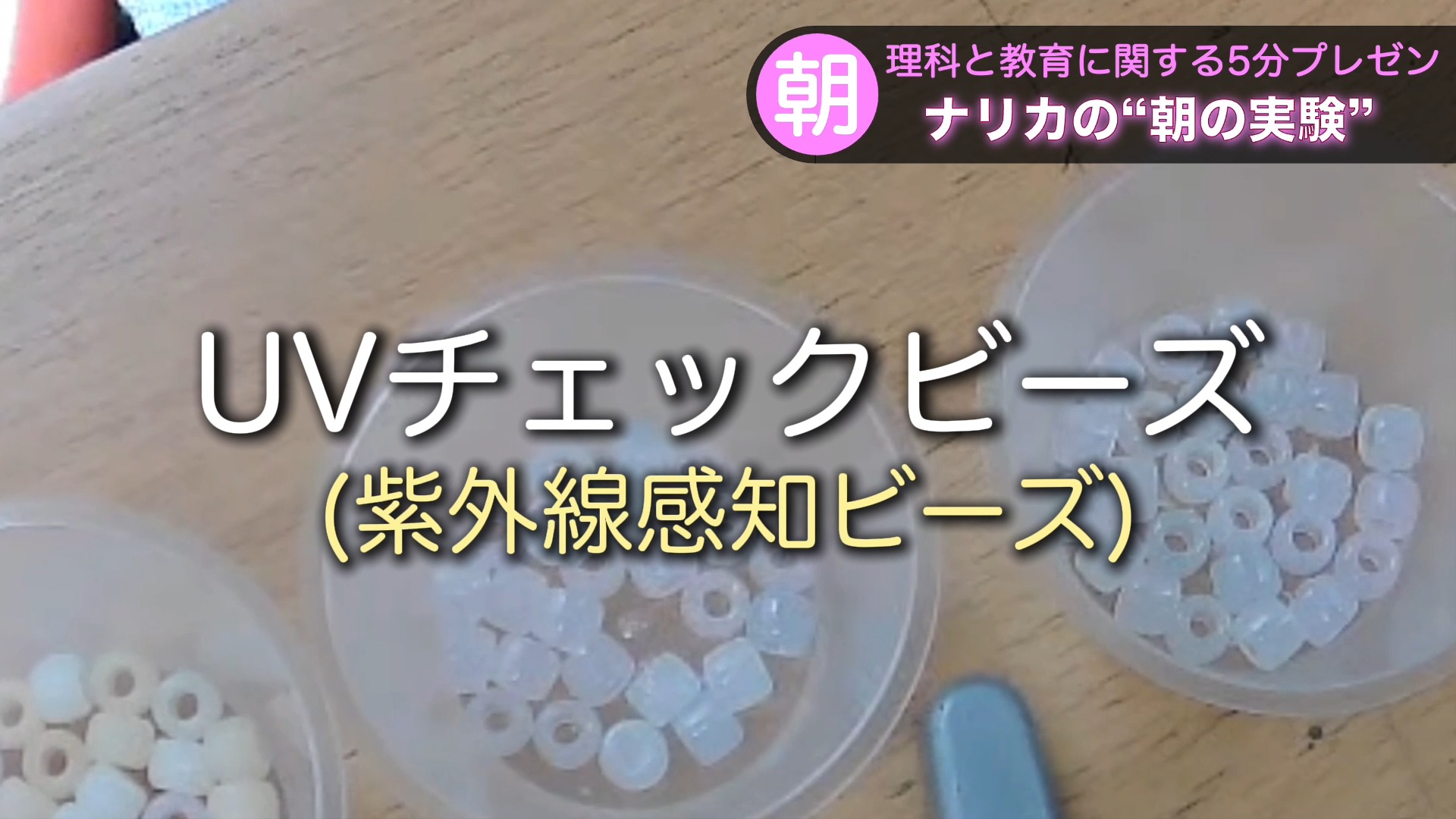 朝の実験】今回の実験は、UVチェックビーズ(紫外線感知ビーズ)を使って 