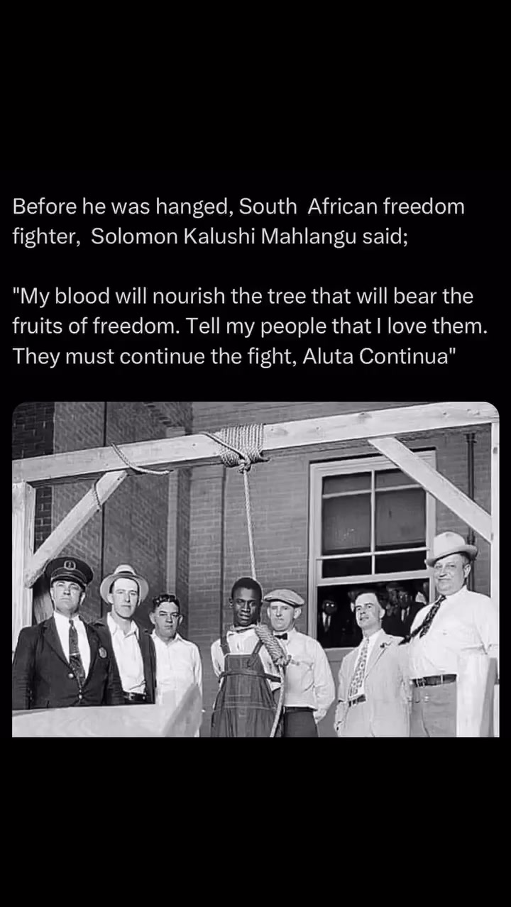 Roots of Black Africa