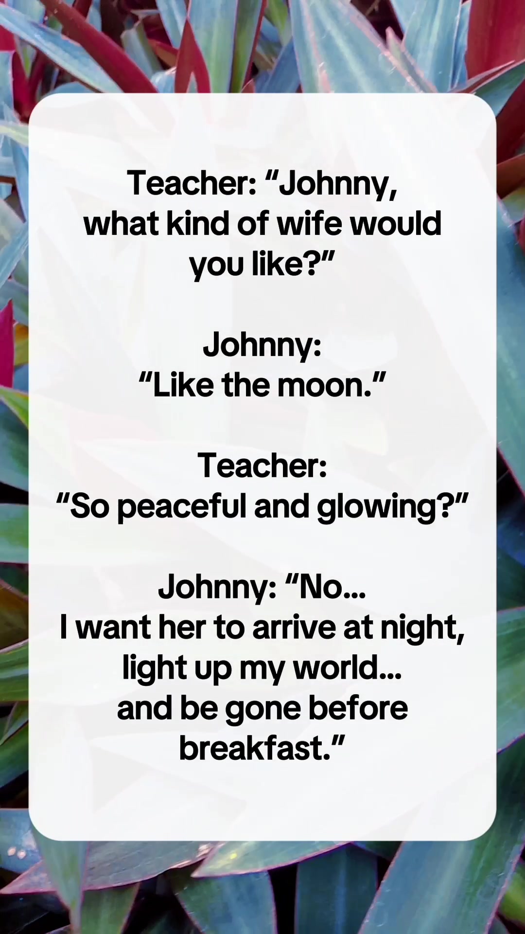 Plot twist: Johnny isn’t a hopeless romantic… he’s just very specific ...
