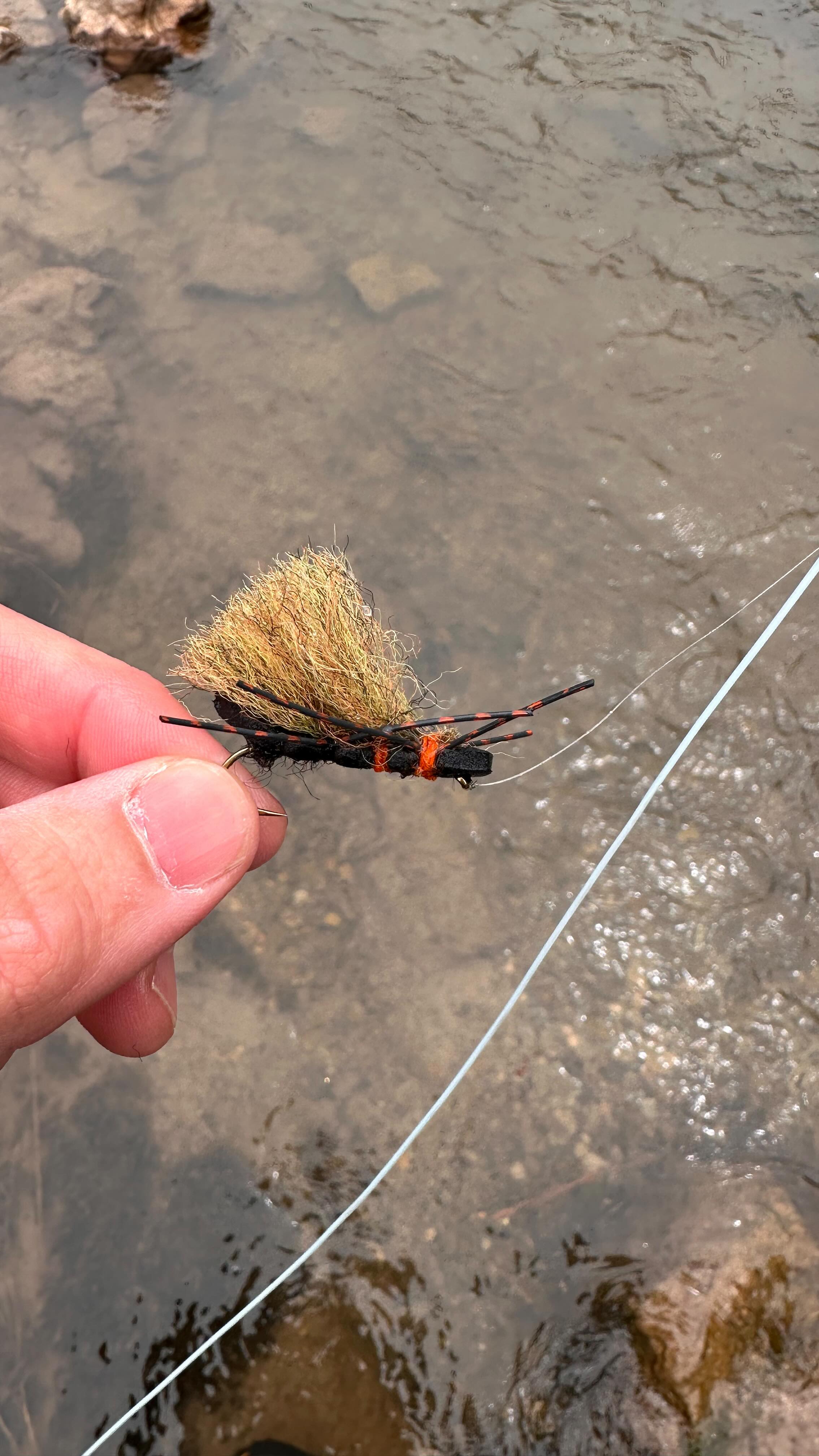 Chernobyl Salmonfly 💯 The Salmonfly hatch is very anticipated every May ...