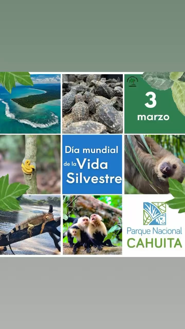 ACLAC - Área de Conservación la Amistad Caribe | Limón